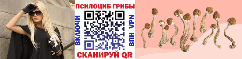 Галлюциногенные грибы GOLDEN TEACHER  Красновишерск 